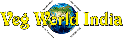 Veg World India